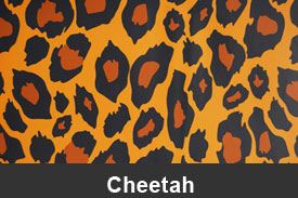 Cheetah Dash Kits