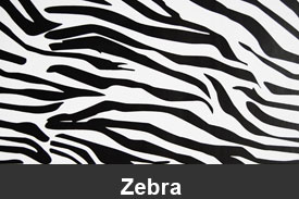 Zebra Dash Kits