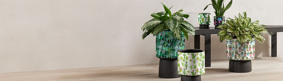 Rcraft™ Cactus Craft Vinyl | Craft Sheets | Craft Rolls - Rvinyl