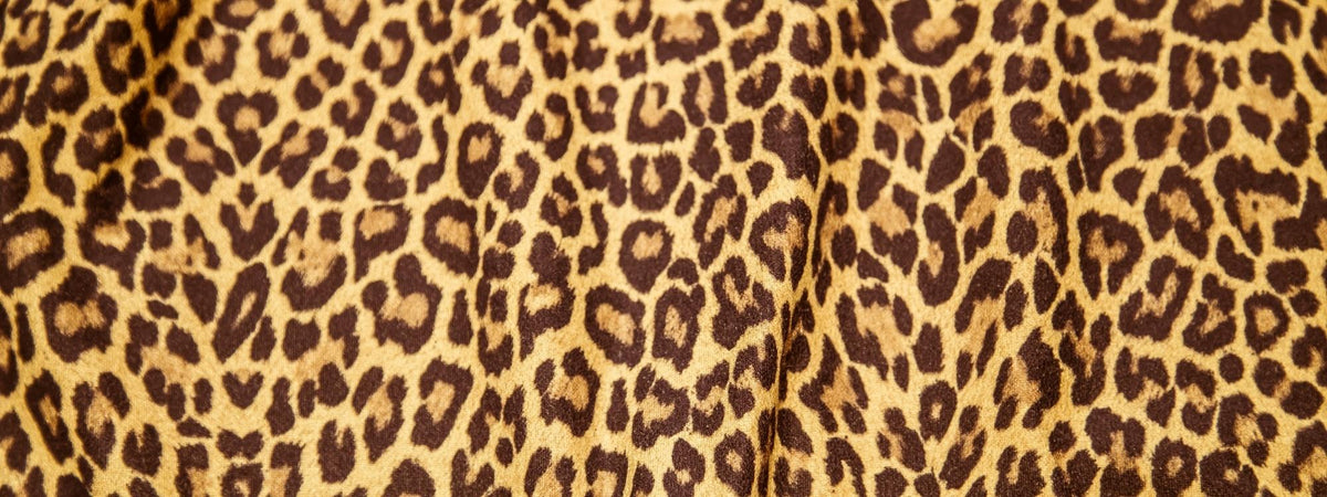 Cheetah Wrap Films | Cheetah Vinyl Wraps