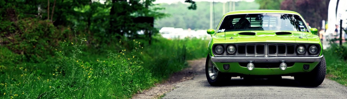 Green Vehicle Wraps