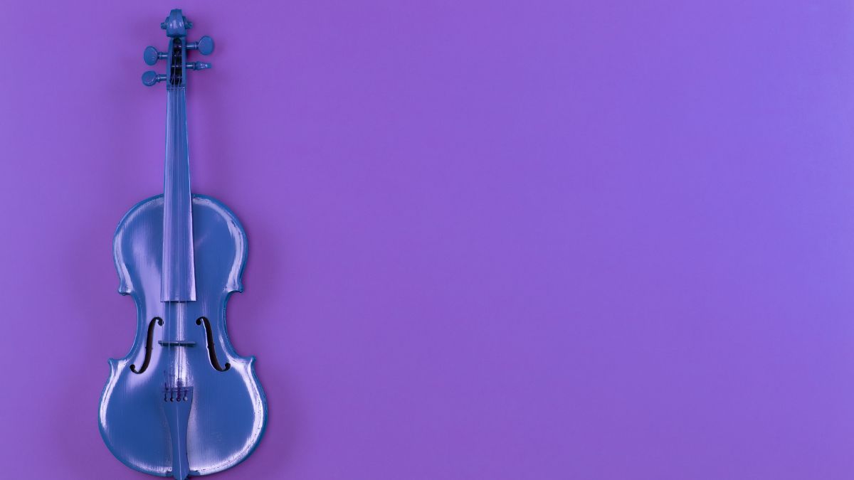 Musical Instrument Wraps