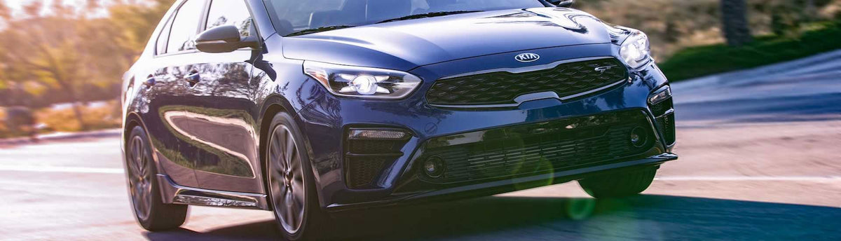 Kia Fog Light Tint | Precut Kia Fog Light Tint | Rvinyl - Rvinyl