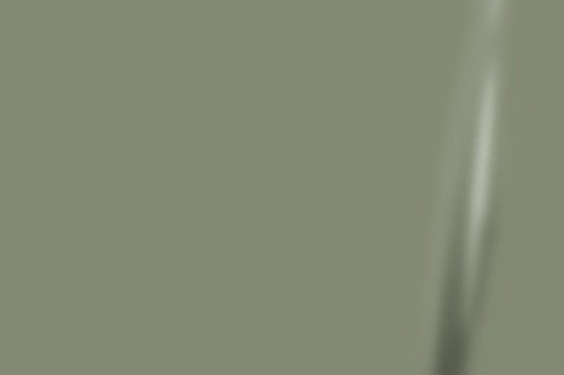 3M™ 2080 Satin Komodo Green Vinyl Wrap | S56