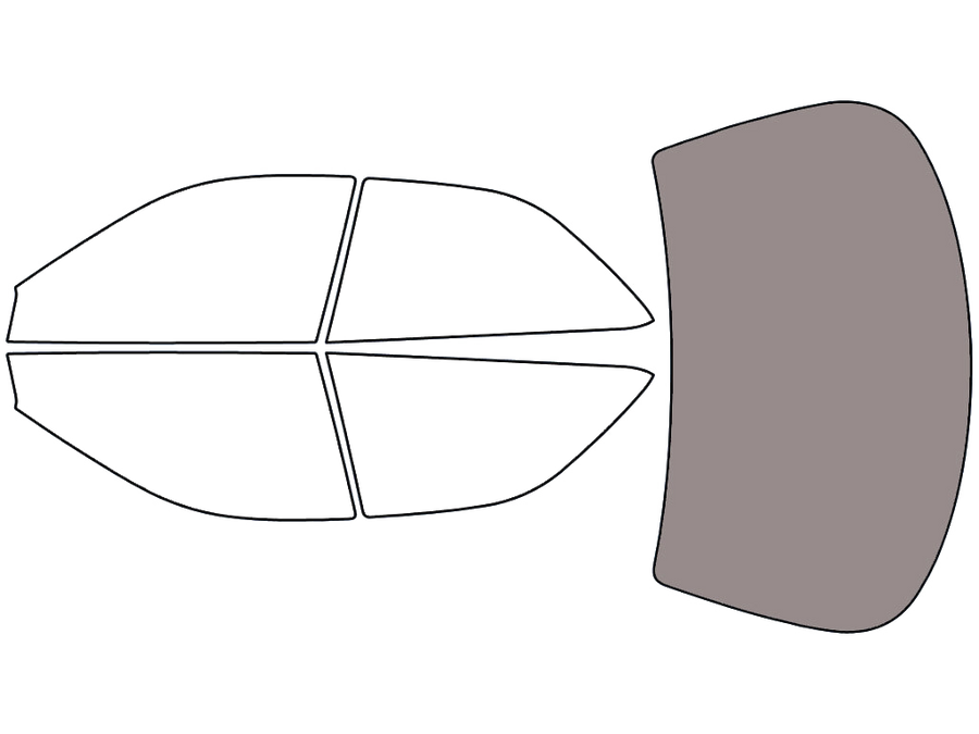 Rear Windshield - 45%