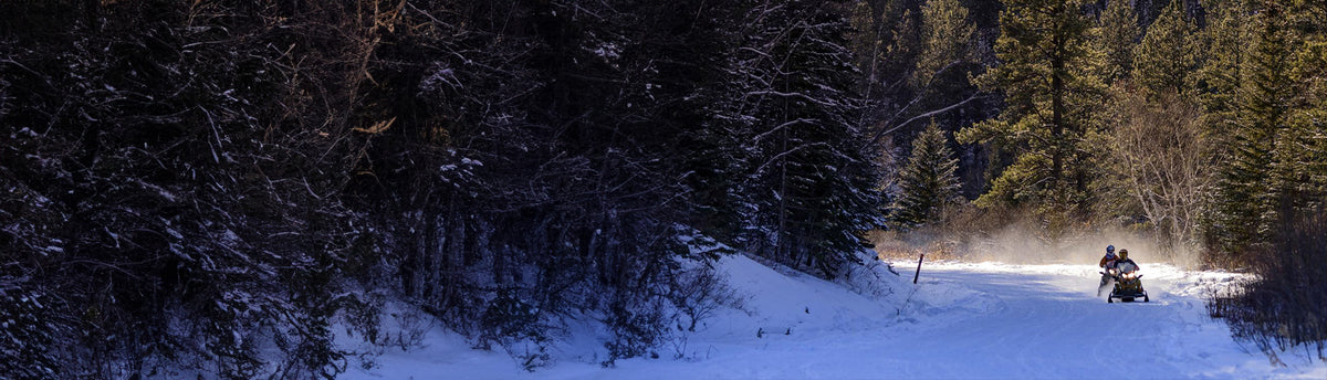 Brown Snowmobile Wraps