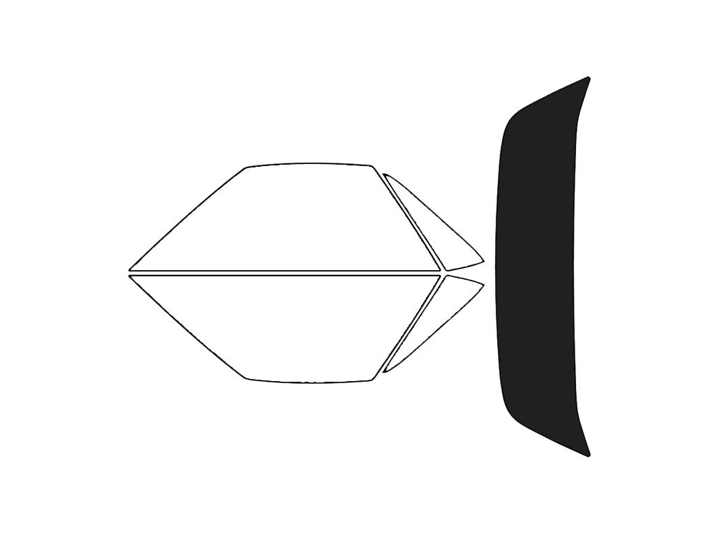 Rear Windshield - 5%