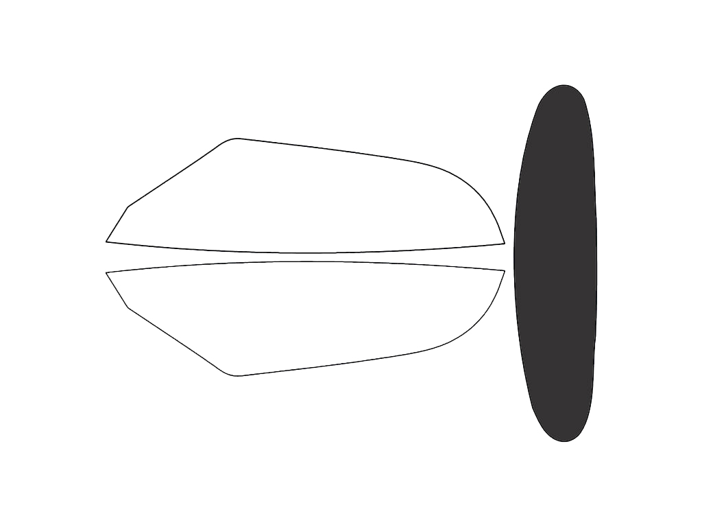 Rear Windshield - 15%