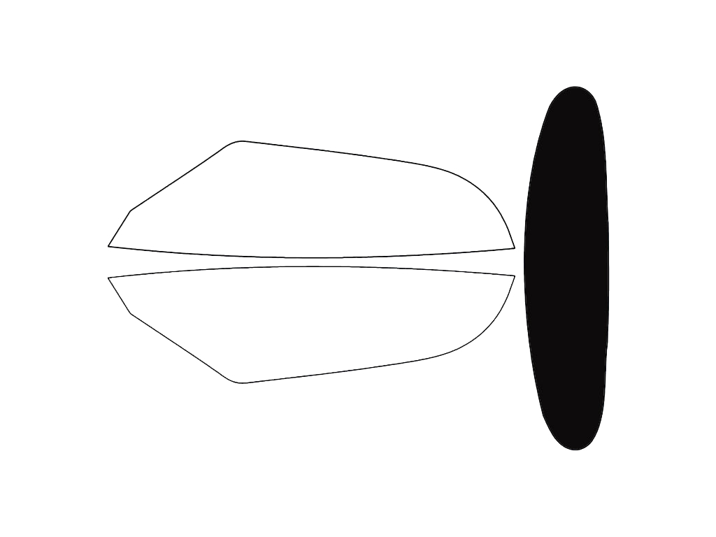 Rear Windshield - 5%