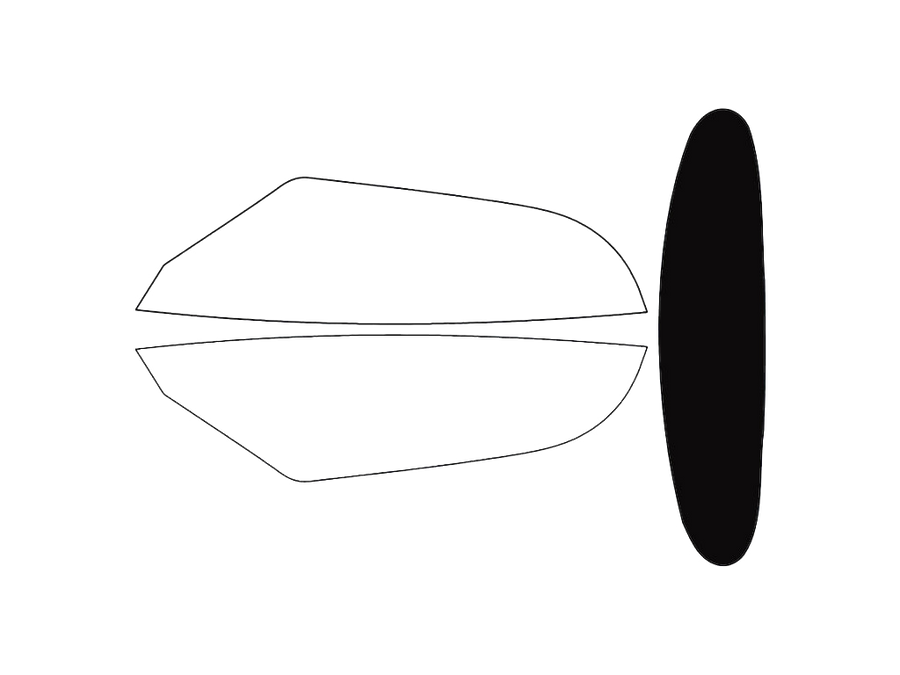 Rear Windshield - 5%