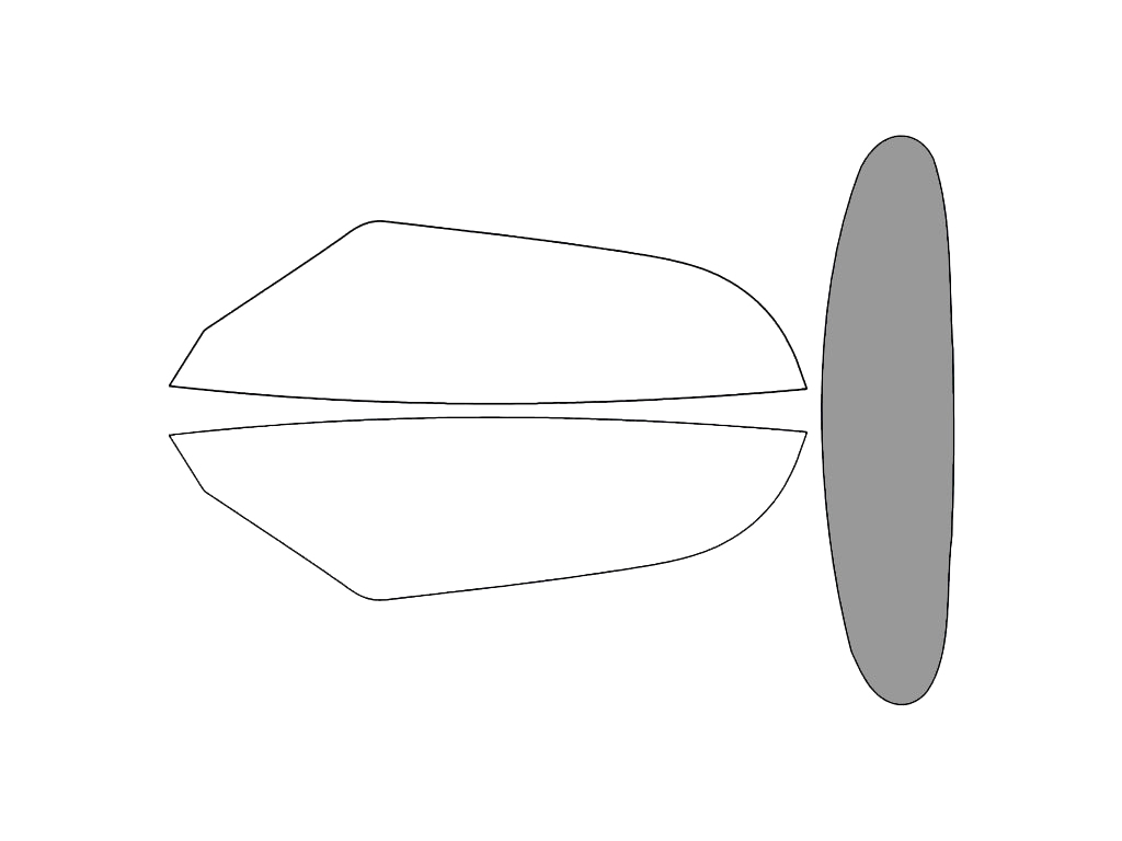Rear Windshield - 45%