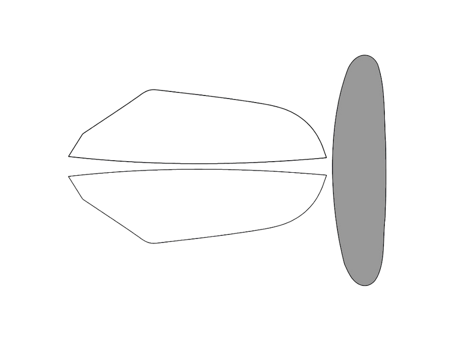 Rear Windshield - 45%
