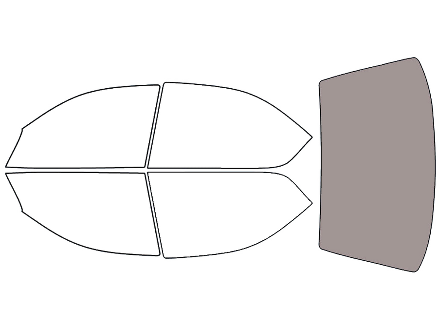 Rear Windshield - 45%