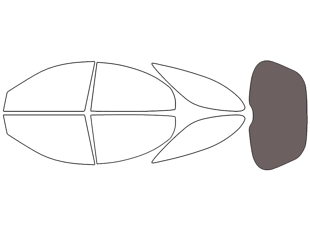Rear Windshield - 35%