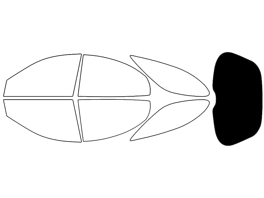 Rear Windshield - 5%