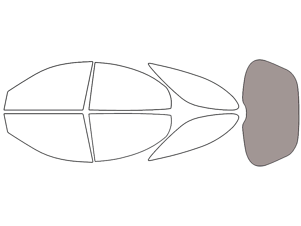 Rear Windshield - 45%