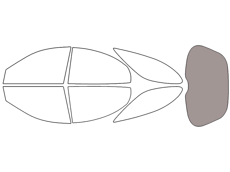 Rear Windshield - 45%