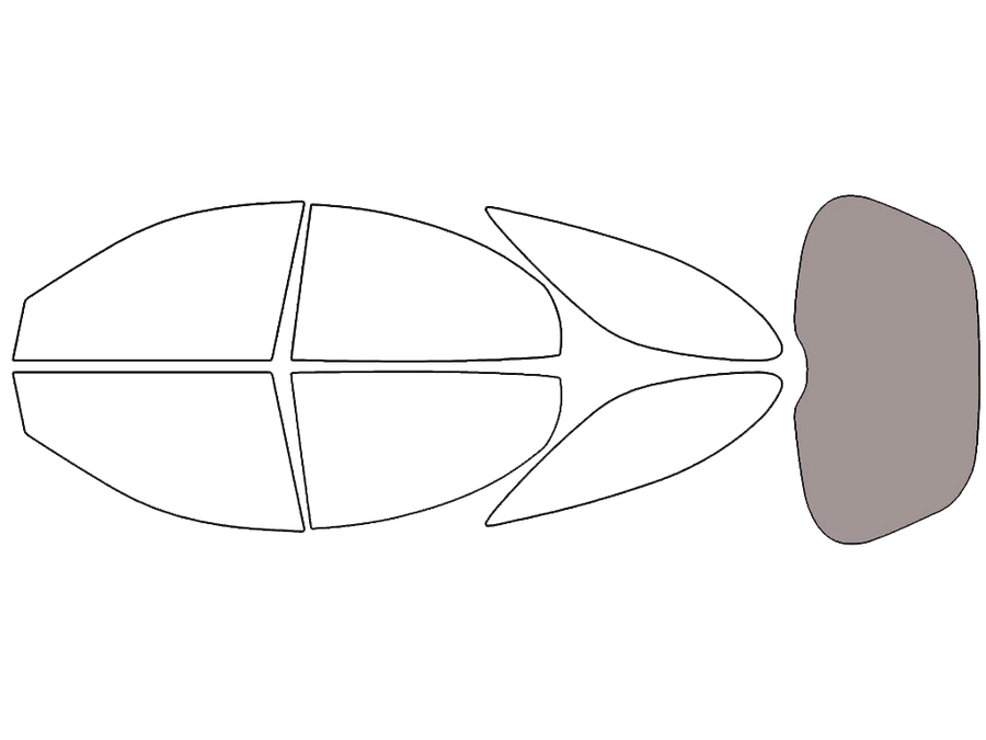 Rear Windshield - 45%