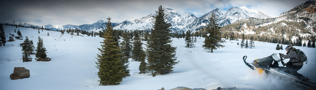 Gray Snowmobile Wraps