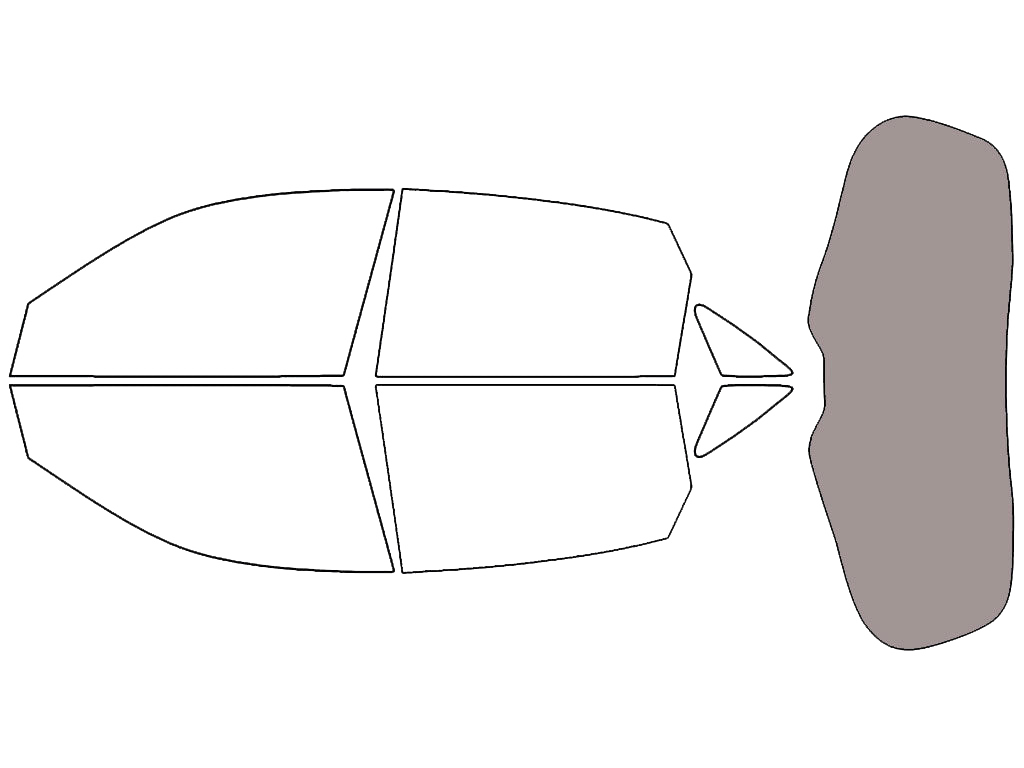 Rear Windshield - 50%