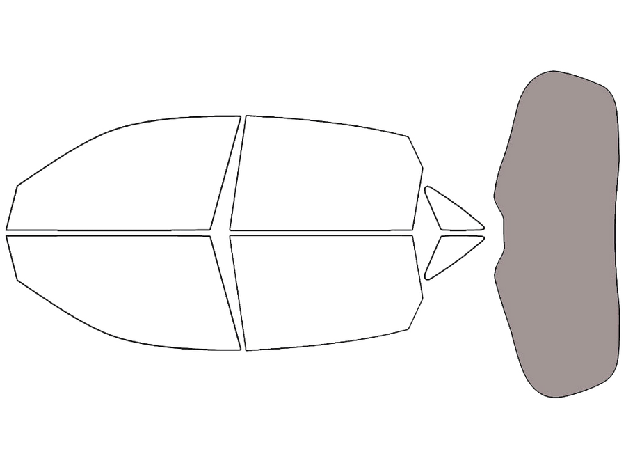 Rear Windshield - 50%