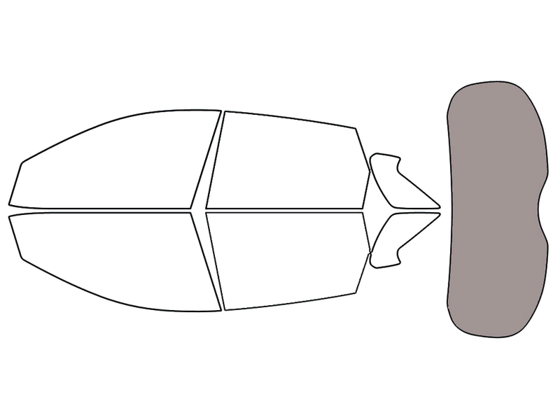 Rear Windshield - 45%