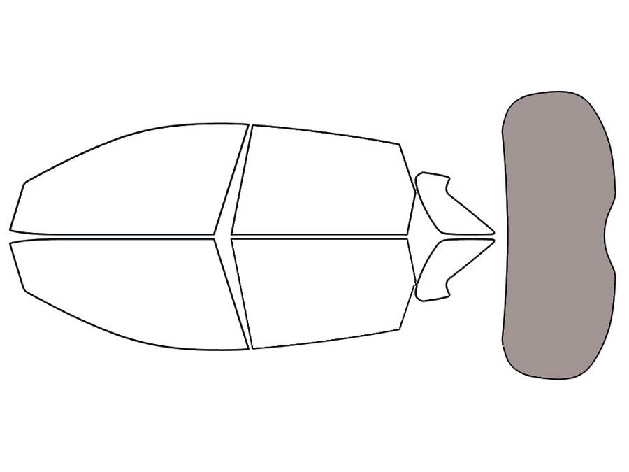 Rear Windshield - 45%