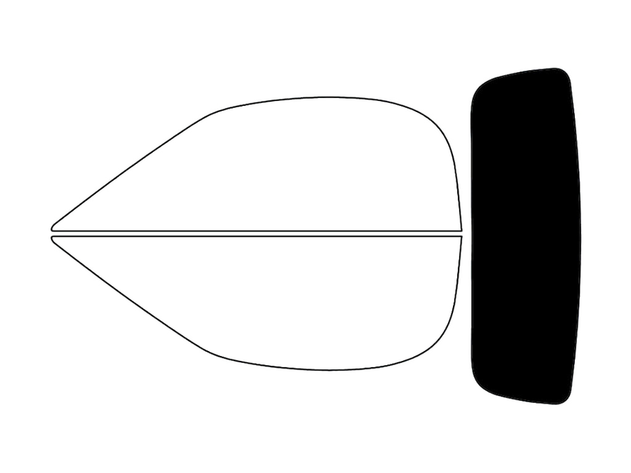 Rear Windshield - 5%
