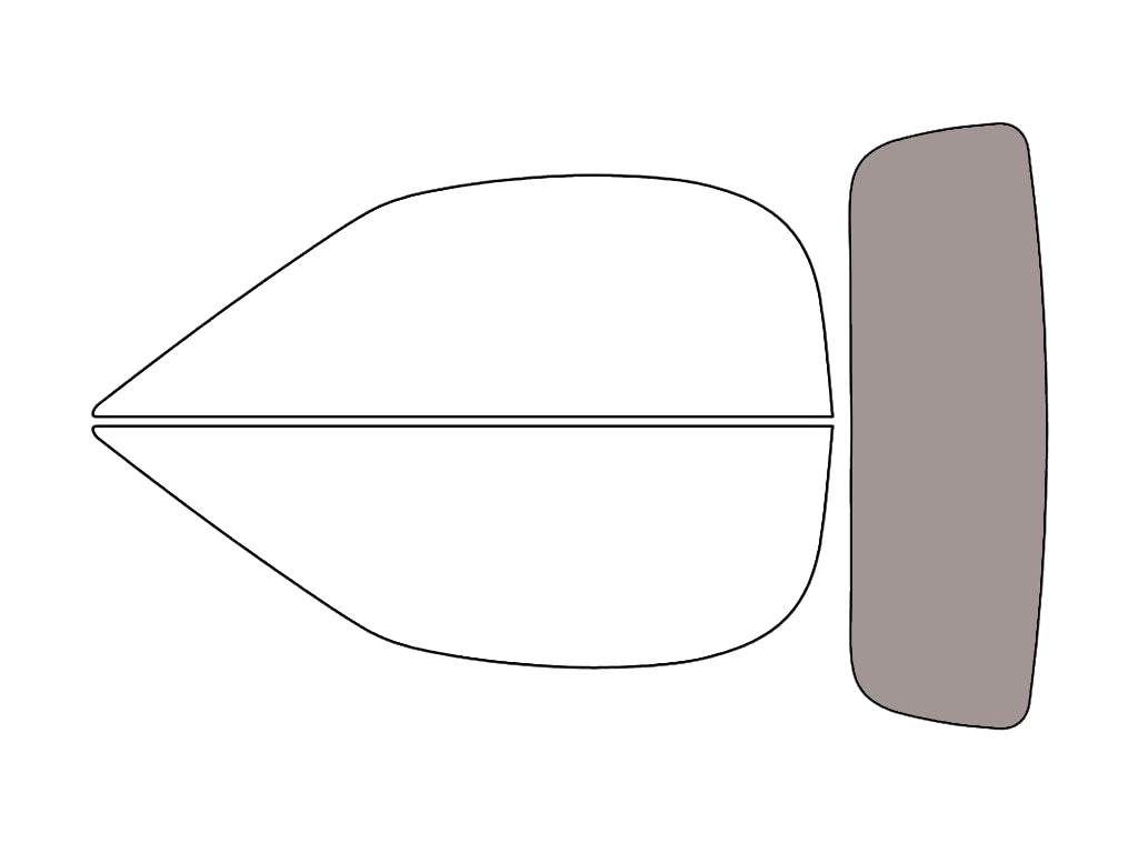 Rear Windshield - 50%