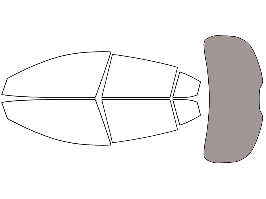 Rear Windshield - 50%