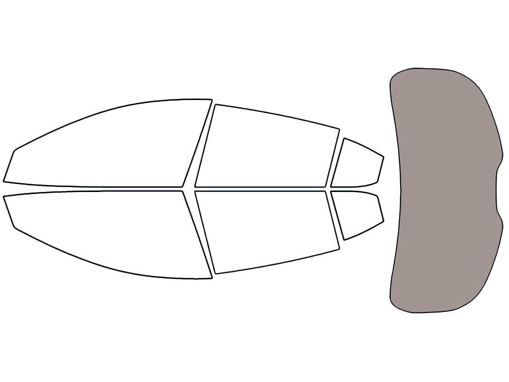 Rear Windshield - 45%