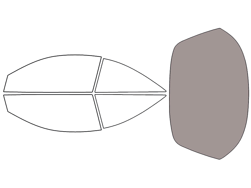 Rear Windshield - 45%