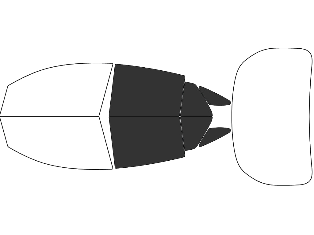Back - 15% + Cargo