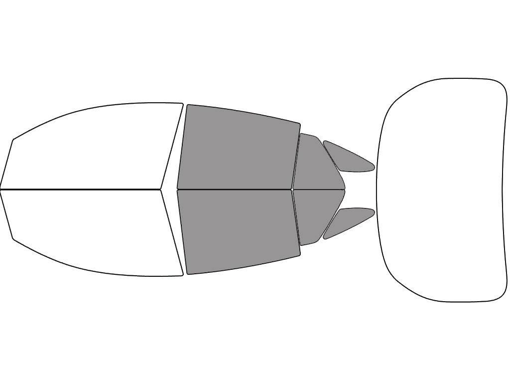 Back - 45% + Cargo