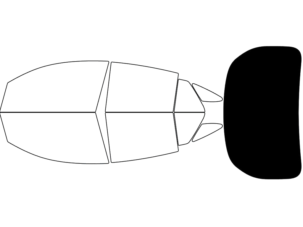 Rear Windshield - 5%