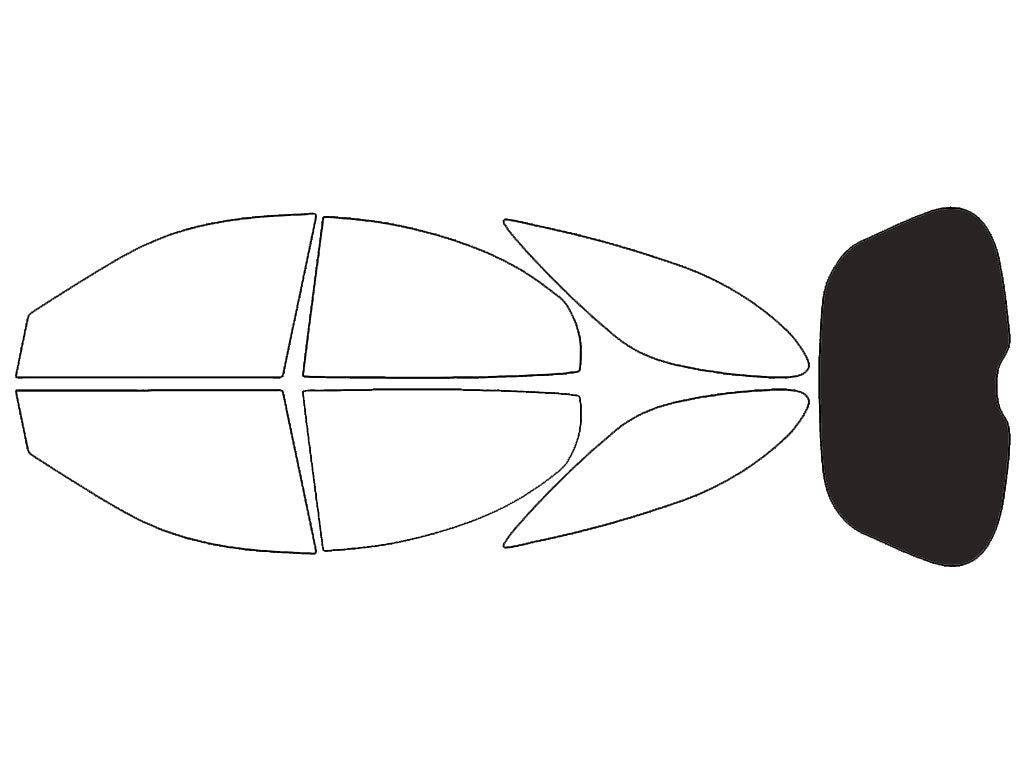 Rear Windshield - 15%