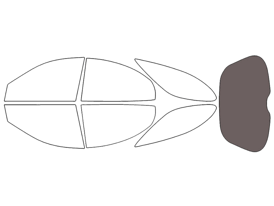 Rear Windshield - 30%