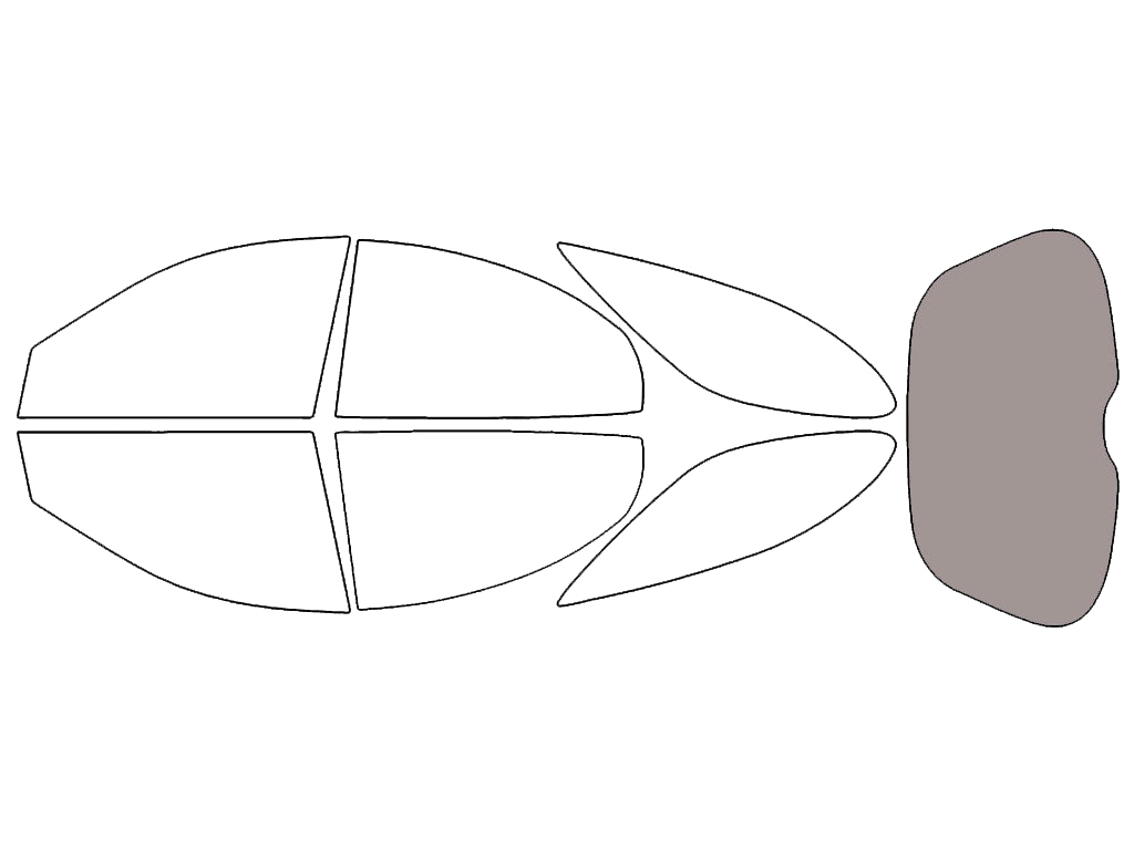 Rear Windshield - 50%