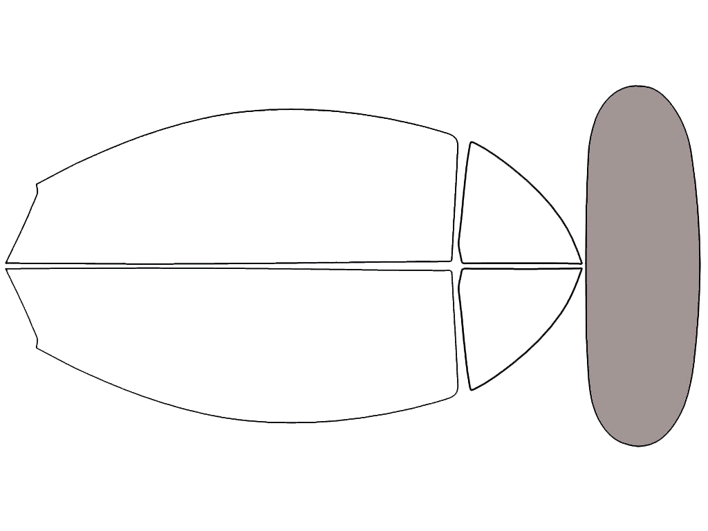 Rear Windshield - 45%
