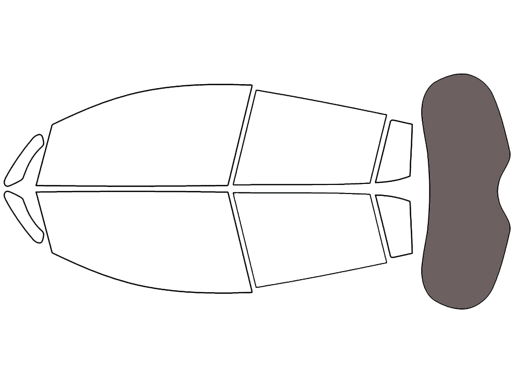 Rear Windshield - 35%