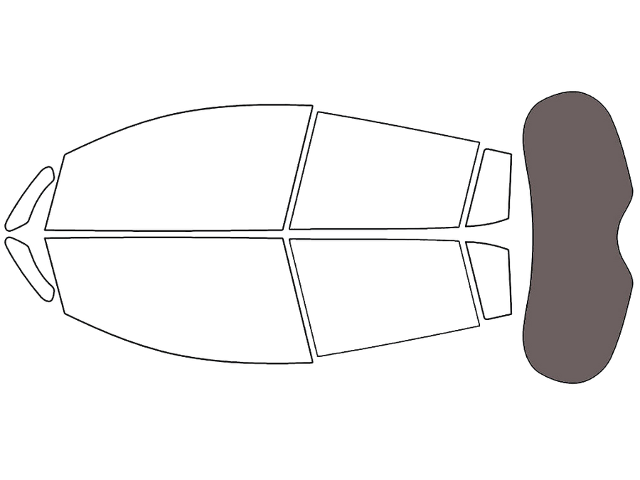 Rear Windshield - 35%