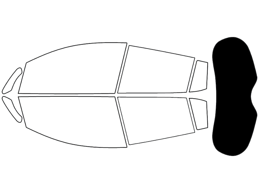 Rear Windshield - 5%