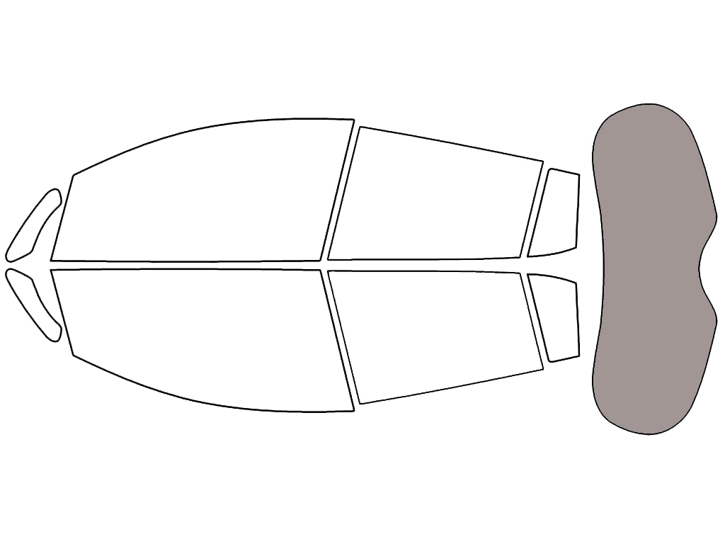 Rear Windshield - 45%