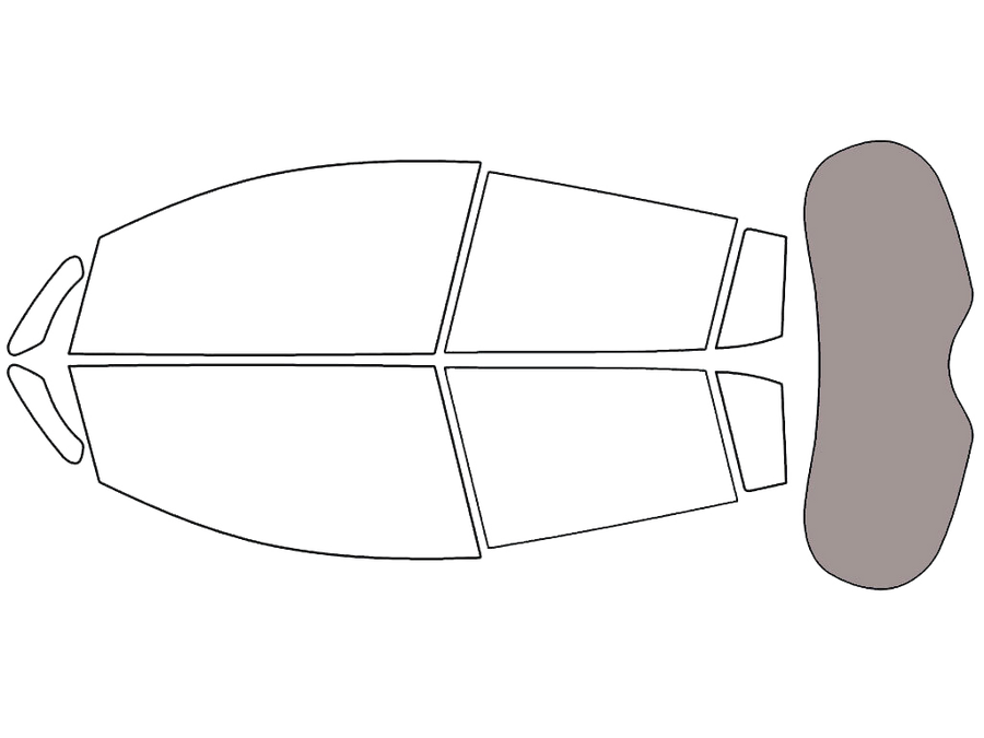 Rear Windshield - 45%