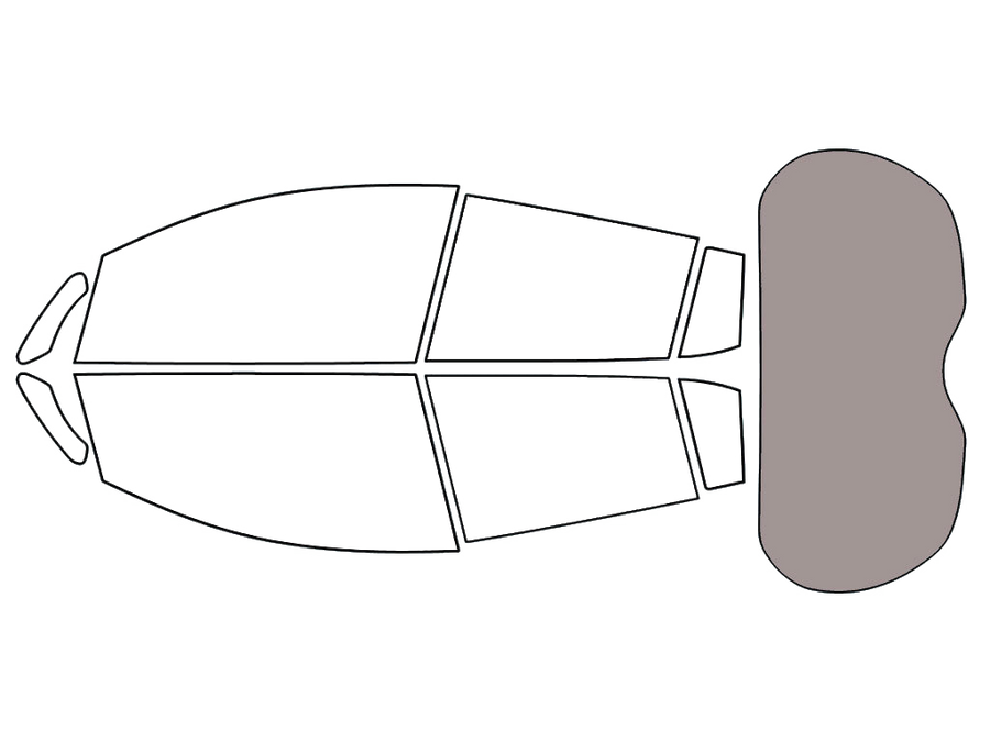 Rear Windshield - 50%