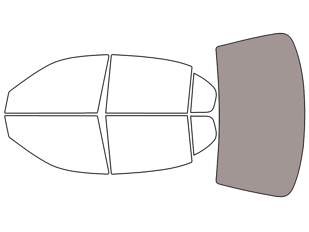 Rear Windshield - 45%