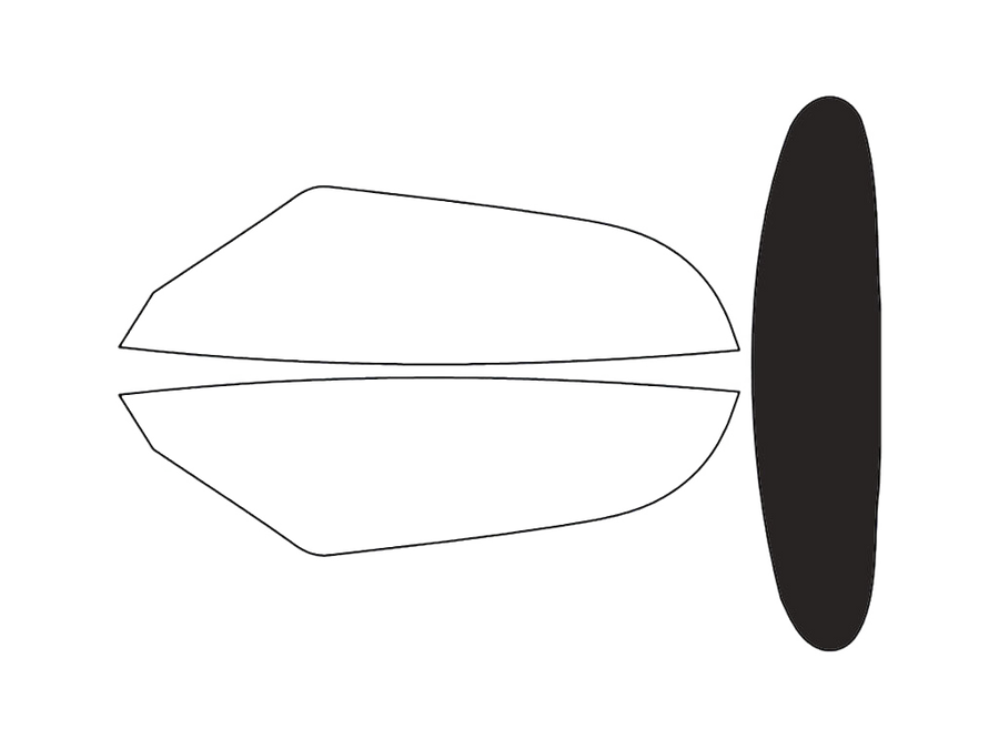 Rear Windshield - 15%