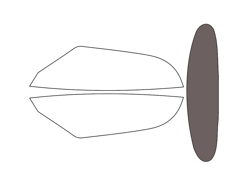 Rear Windshield - 30%