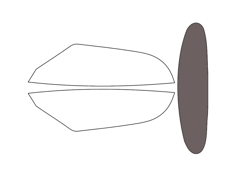 Rear Windshield - 30%