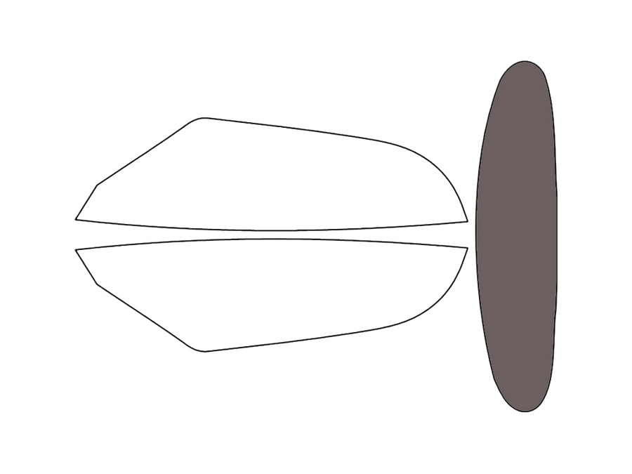 Rear Windshield - 30%